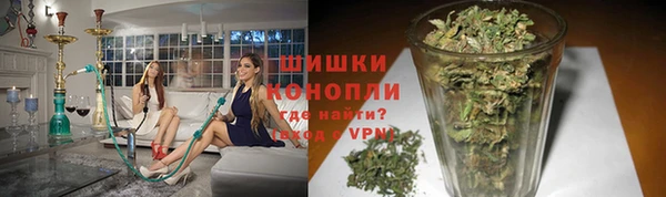 дживик Тында